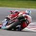 Byrne and Camier are aiming high at Brands