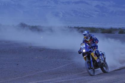 Cyril Despres took his third stage win of the 2009 Dakar Rally