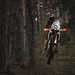 KTM 390 Adventure R wheelie off-road