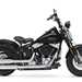 Harley-Davidson Cross Bones- side view