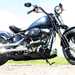 Harley-Davidson Cross Bones- side on