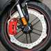 Buell 1125CR - typical Buell rim-mounted disc