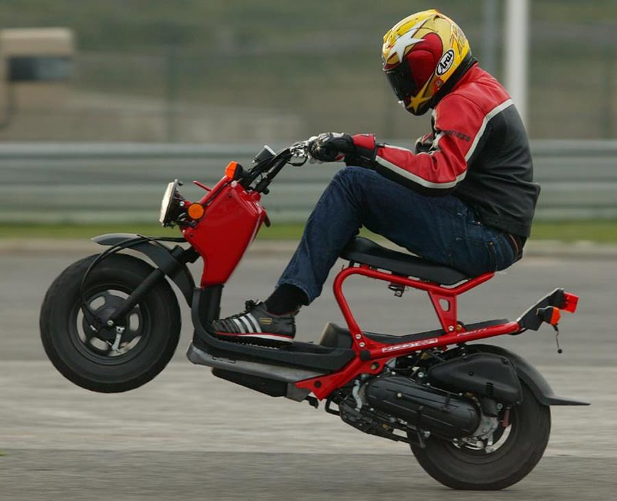 Honda Zoomer doing a wheelie