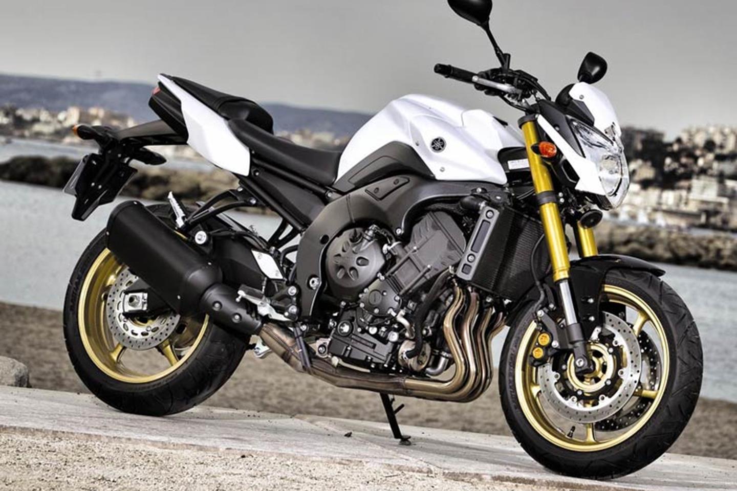 Yamaha fz deals 800cc