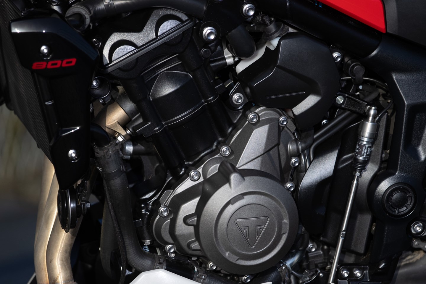 Trident Program Engine 2026-on Triumph Trident 800 review: Friendly with extra fizz