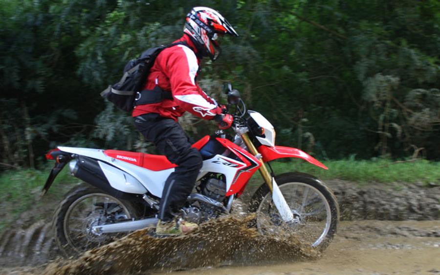 If it's been looked after, the Honda CRF250L should prove reliable