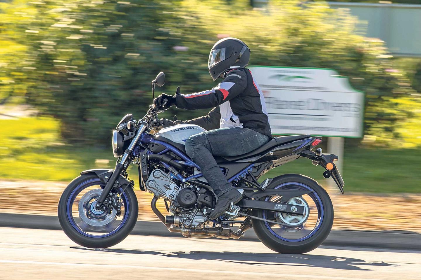 Suzuki sv650 2024 off road