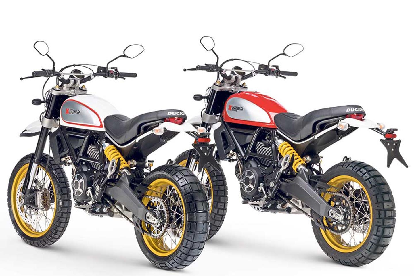 Ducati scrambler 800 store desert sled