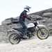 Ducati Scrambler Desert Sled stand-up riding shot