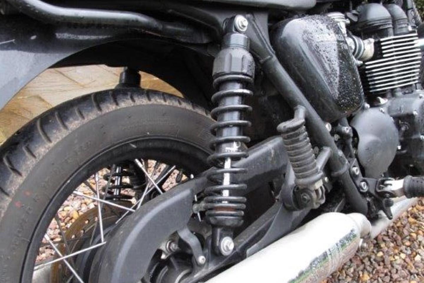 triumph speedmaster rear shocks