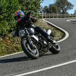 DUCATI SCRAMBLER 1100 (2018 - 2019) Review