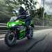 Kawasaki Ninja 400 in Racing Team livery for 2020