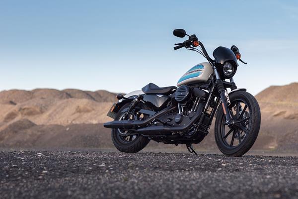 Harley-Davidson Sportster 1200 Iron mountains