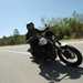 Harley-Davidson Sportster 1200 Iron