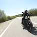 Harley-Davidson Sportster 1200 Iron on the road