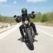 Harley-Davidson Sportster 1200 Iron front