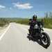 Harley-Davidson Sportster 1200 Iron right side