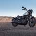Harley-Davidson Sportster 1200 Iron mountains