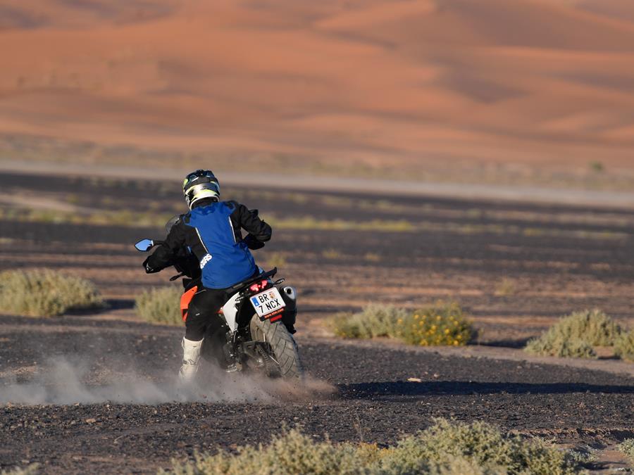 KTM 790 Adventure skid from rear view