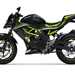 Kawasaki Z125 in green and black colours for 2021