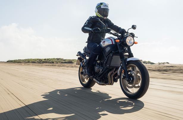 Yamaha xsr store 700 2019