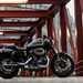 Harley-Davidson Roadster 1200 right side