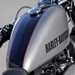 Harley-Davidson Roadster 1200 tank