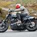 Harley-Davidson Roadster 1200 steering right