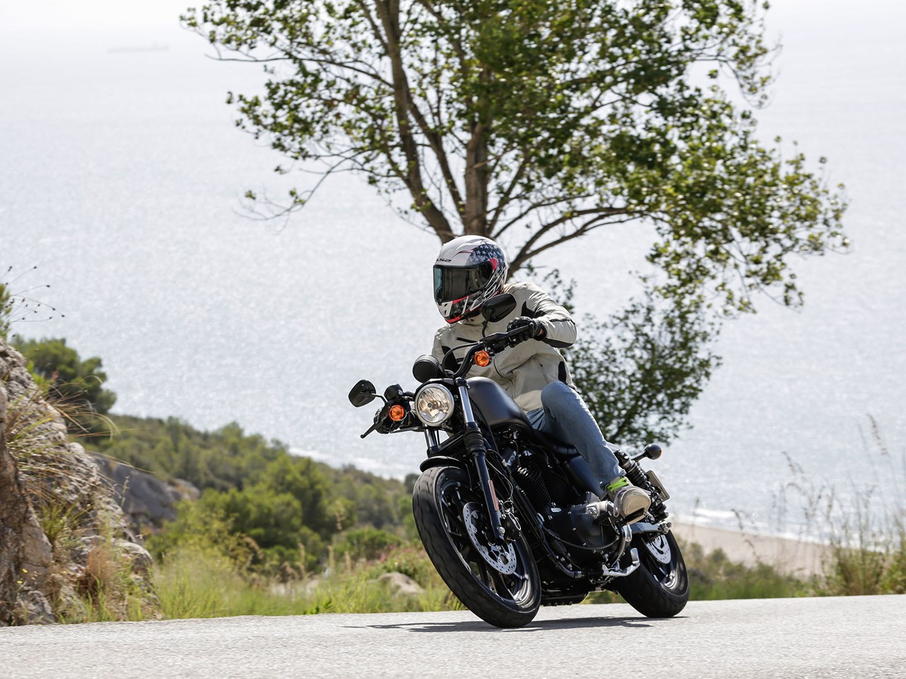 Harley-Davidson Sportster 883 (2015-2021) MCN