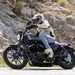 Harley-Davidson Iron 883 action