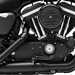 Harley-Davidson Iron 883 engine