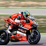 Davies the Destroyer in race one