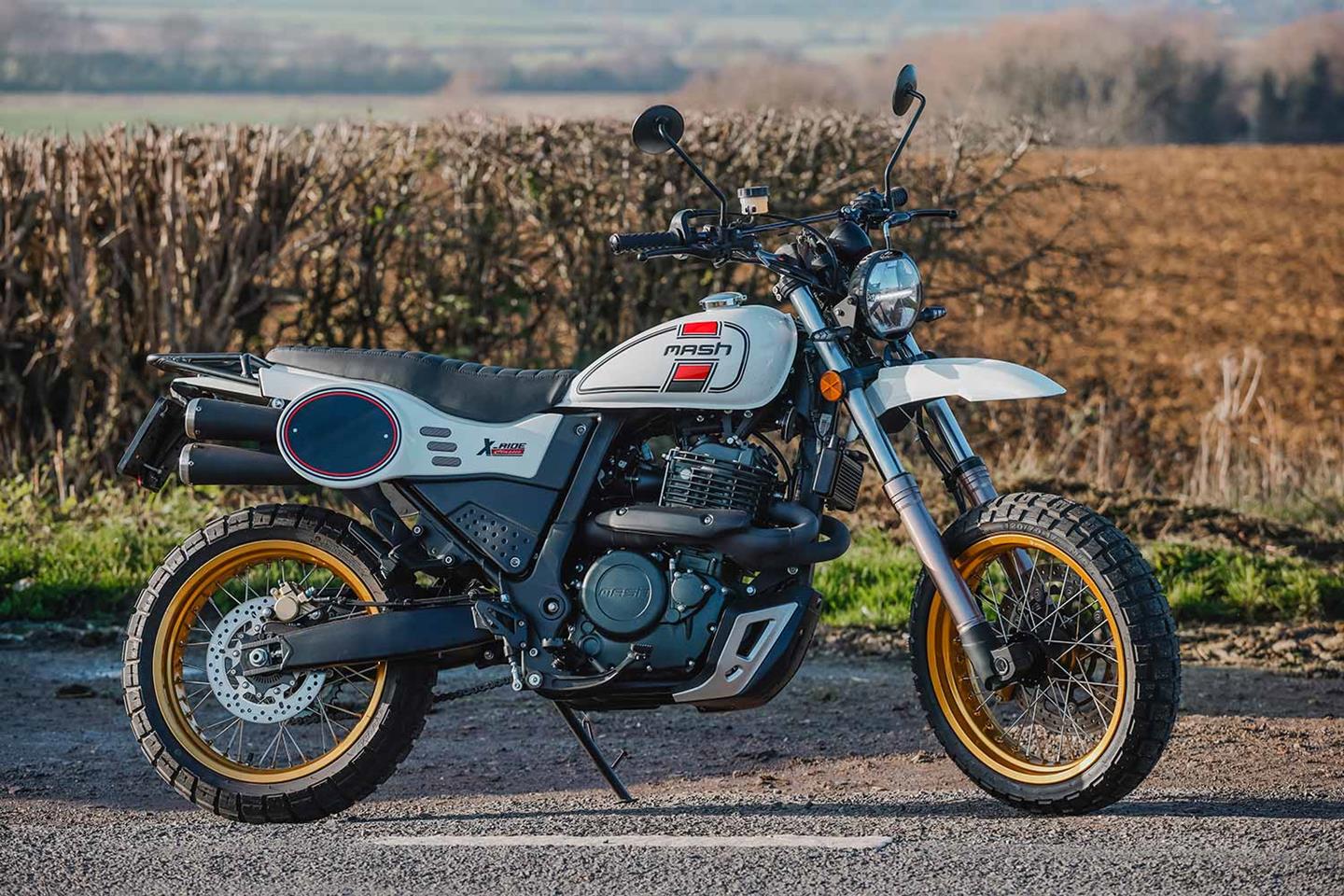 Mash 650 store scrambler