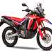 The Honda CRF300 Rally replaces the Honda CRF250 Rally for 2021