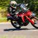 Honda CRF300 Rally, leaning over in a right turn
