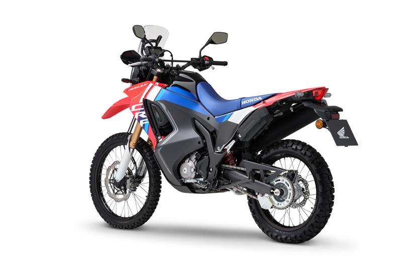 2025 Honda CRF300 Rally, rear 3/4 static shot