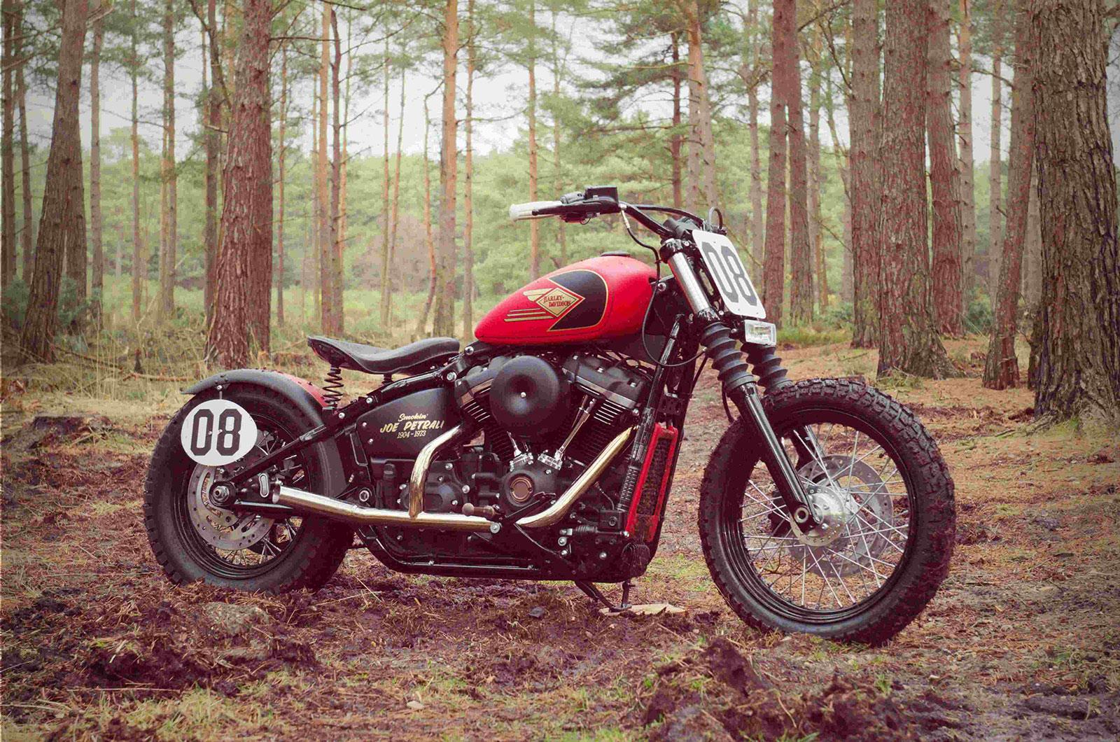battle born harley