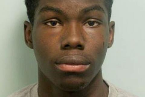 Moped acid attack teenager jailed