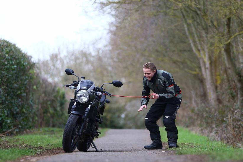 The SV650X has been like living with a playful puppy