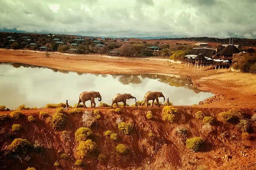 Not your average roadside wildlife 