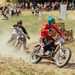 Grass track racing at the Malle Mile festival