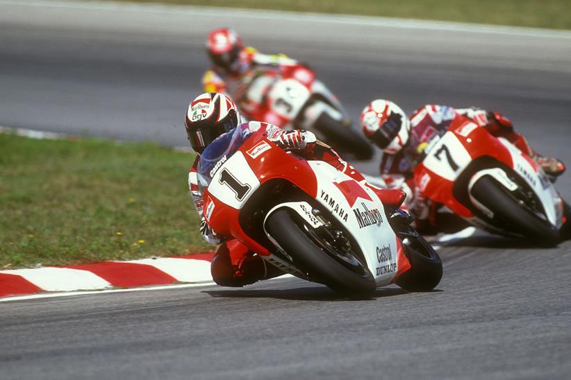 Wayne Rainey