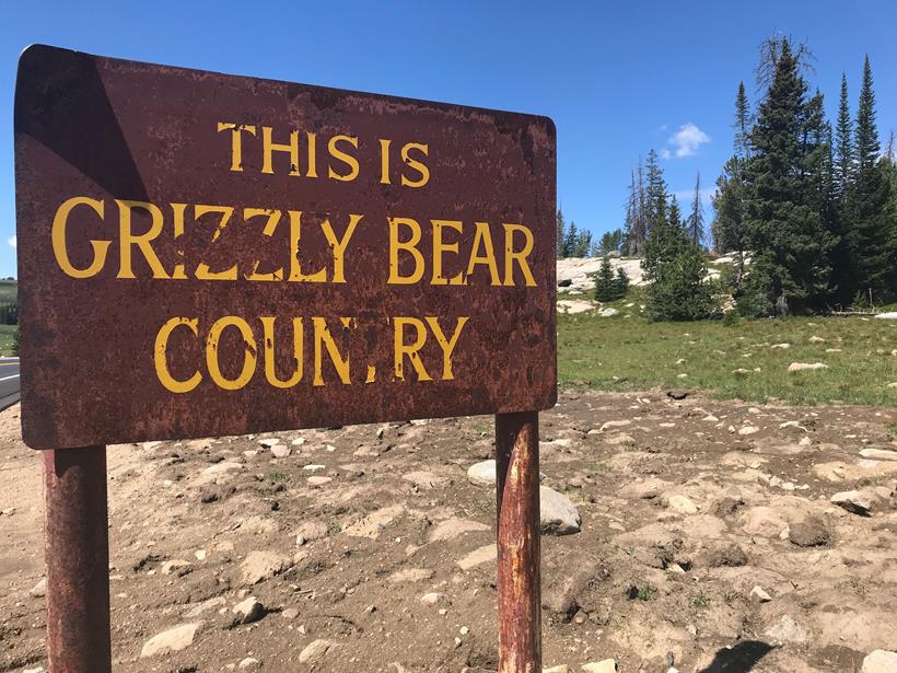 I saw this sign, but no sign of bears