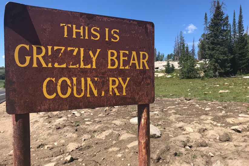 I saw this sign, but no sign of bears