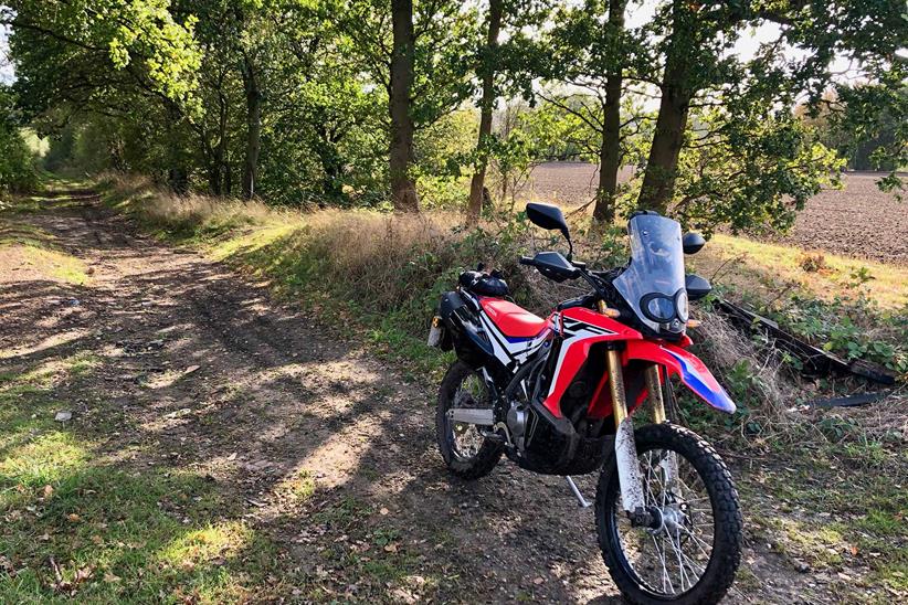 Off-roading on a Honda CRF250 Rally