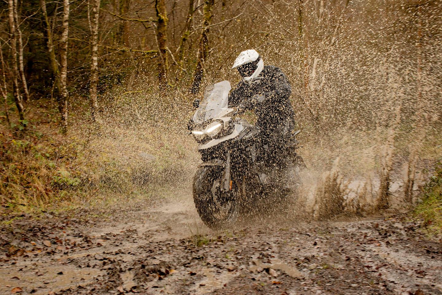 Triumph tiger deals 1200 desert