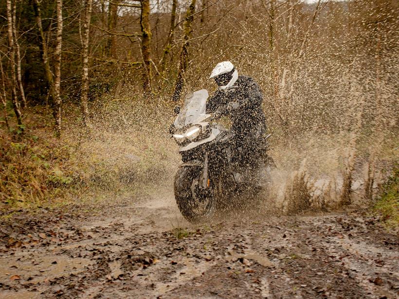 The Desert Edition Triumph gets muddy in a forest