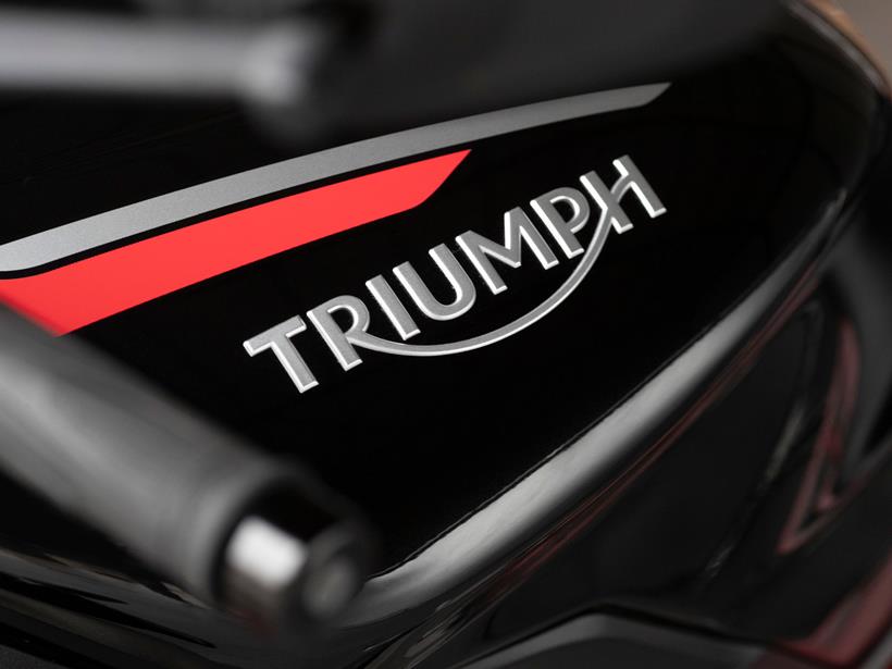 Triumph badge on a motorcycle fuel tank