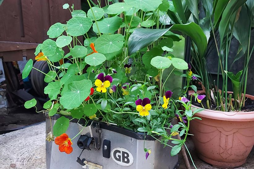 Expert biker themed flower arrangements at the Buccleuch Arms