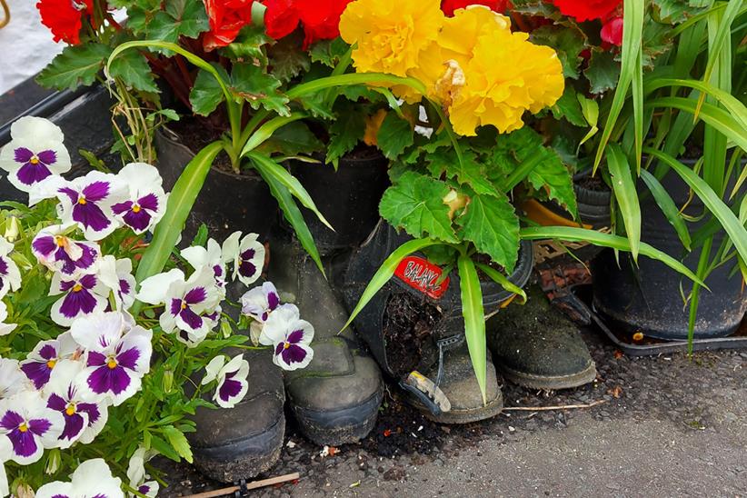 Flowers arranged in boots